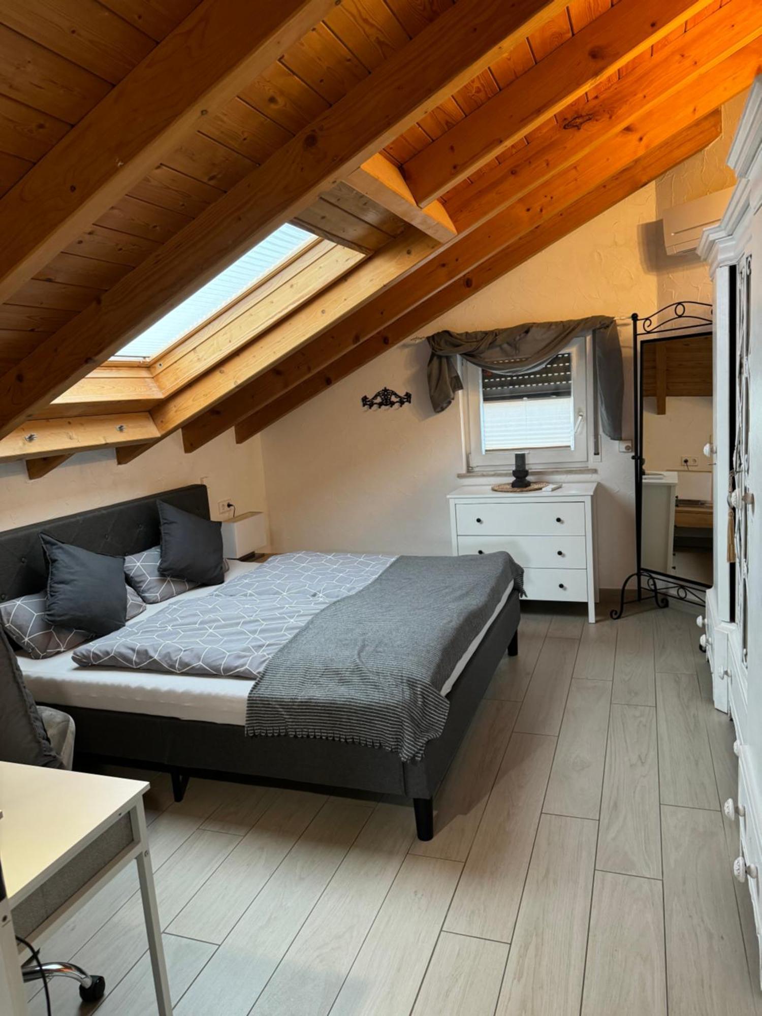 Spacy 3 Bedroom Plus Sleeping Couch Apartment Work&Travel Close To Heidelberg Dielheim Esterno foto