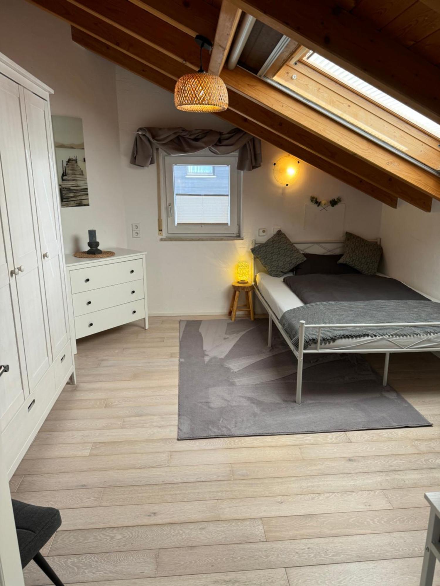 Spacy 3 Bedroom Plus Sleeping Couch Apartment Work&Travel Close To Heidelberg Dielheim Esterno foto
